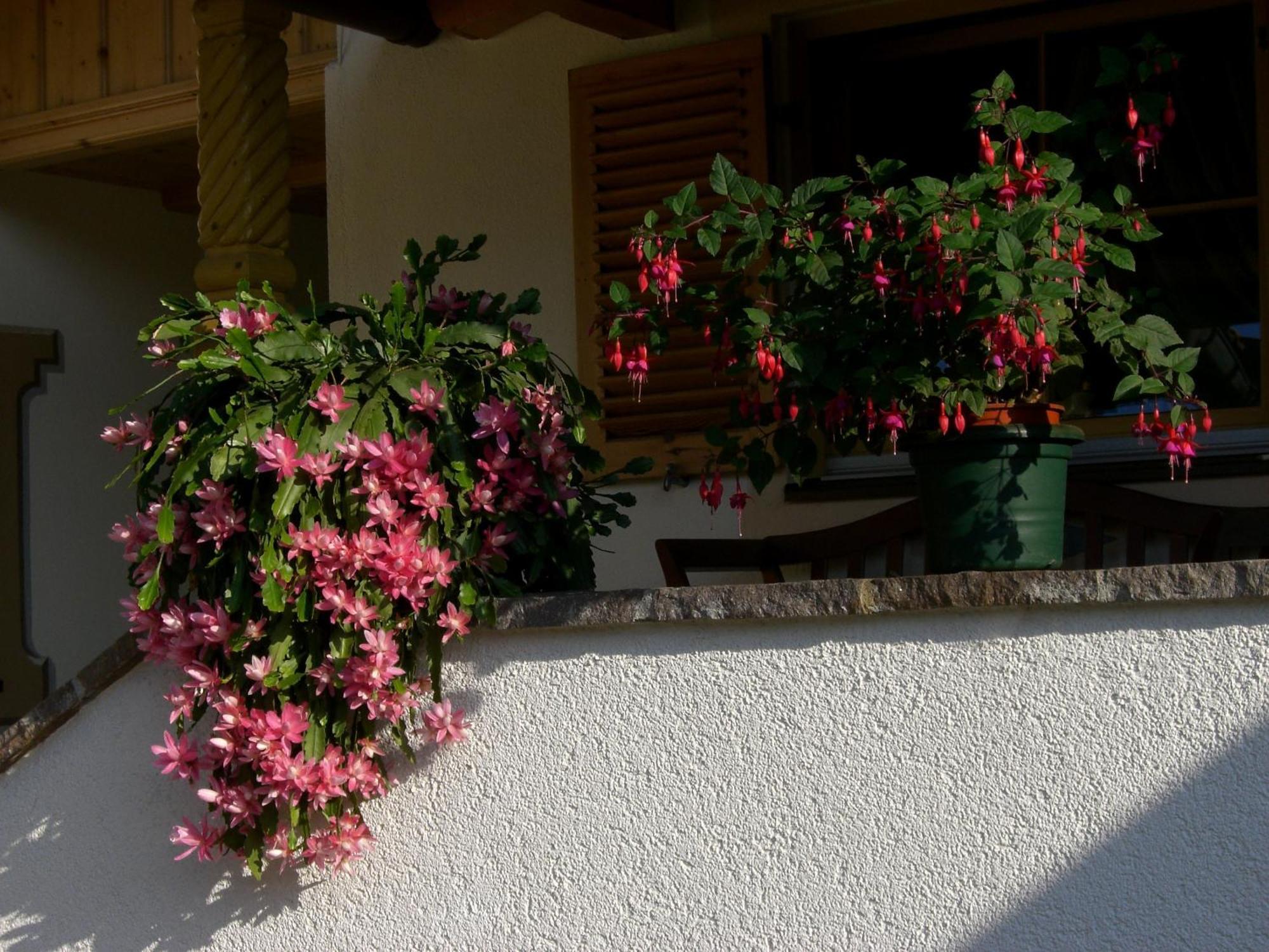 فندق Haus Unterberg كوسن المظهر الخارجي الصورة
